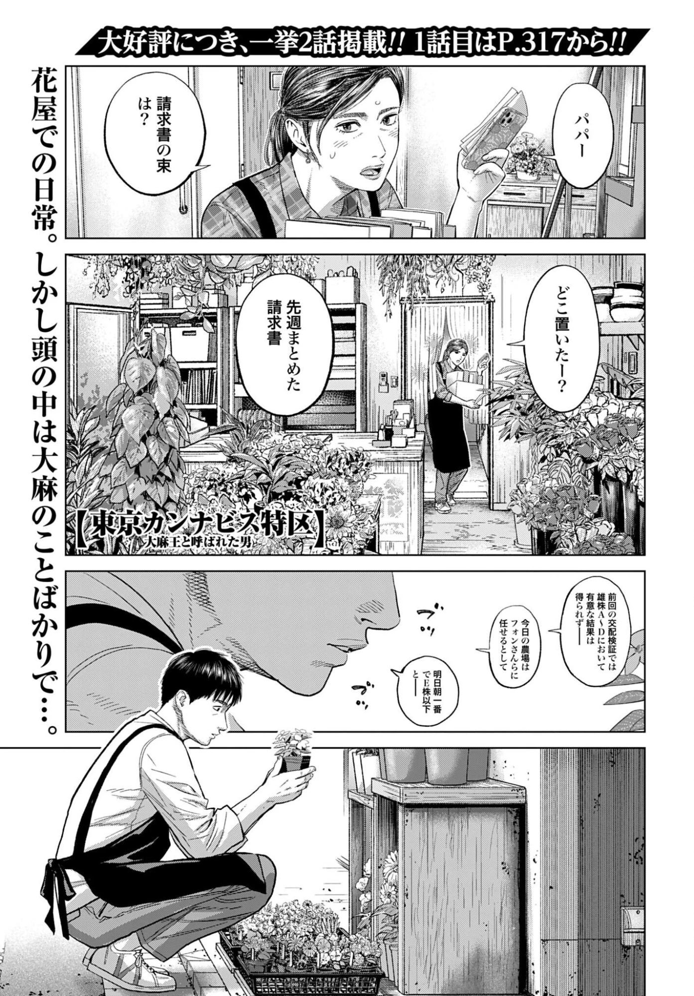東京カンナビス特区 大麻王と呼ばれた男 第86話 - 1