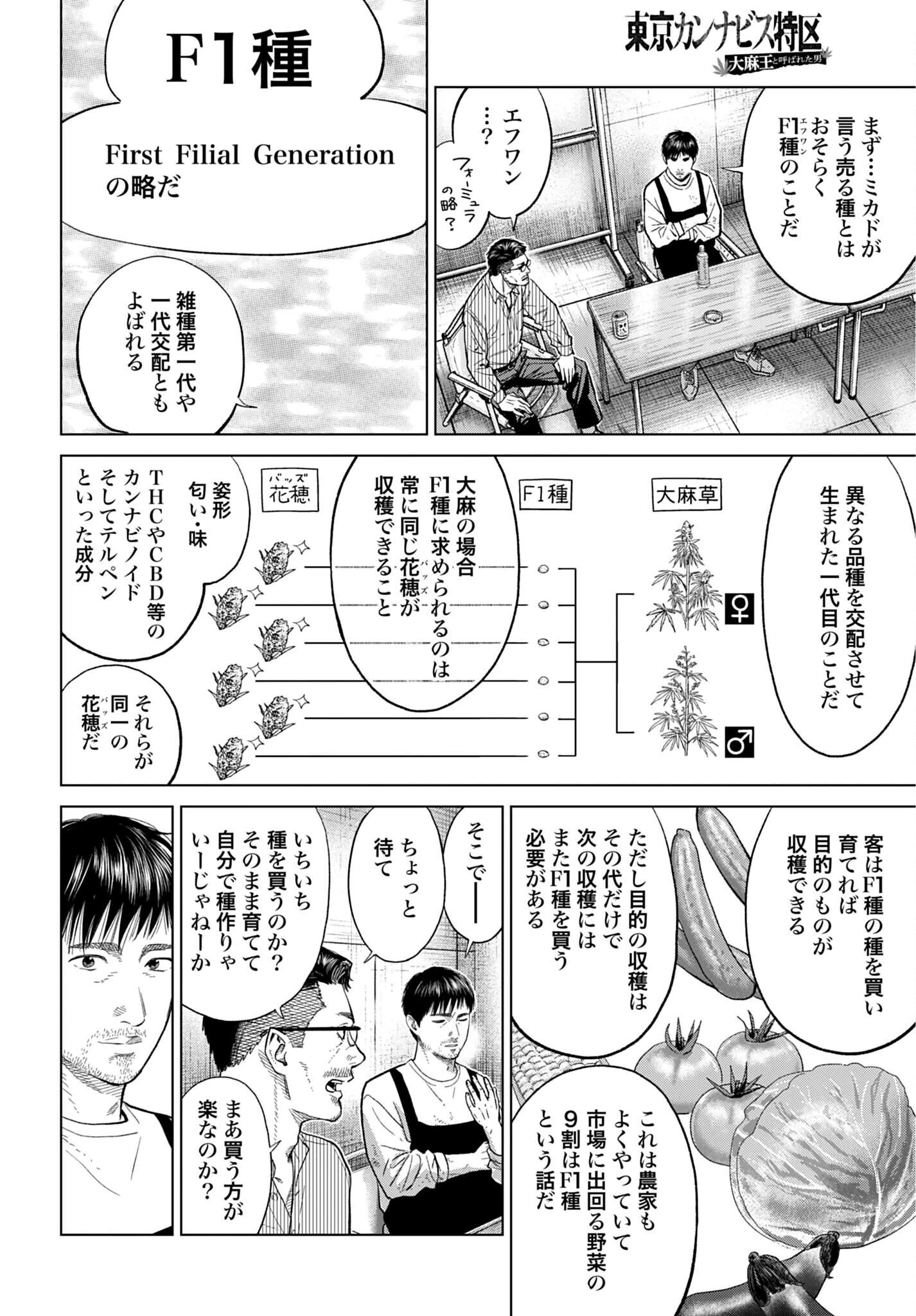 東京カンナビス特区 大麻王と呼ばれた男 第86話 - 12
