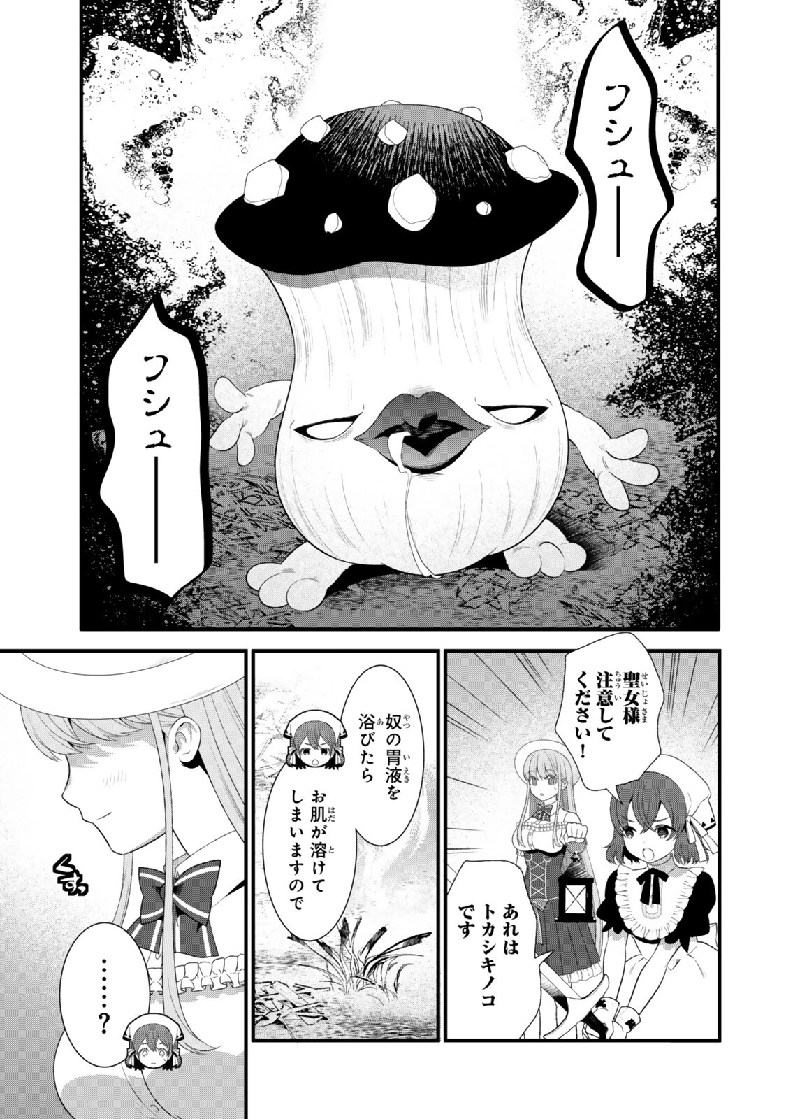 私の魔法は絶対に当たるんです ～スローライフを守るために魔法を撃ち続けていたら、いつの間にか森の聖女になっていました～ 第9話 - 3