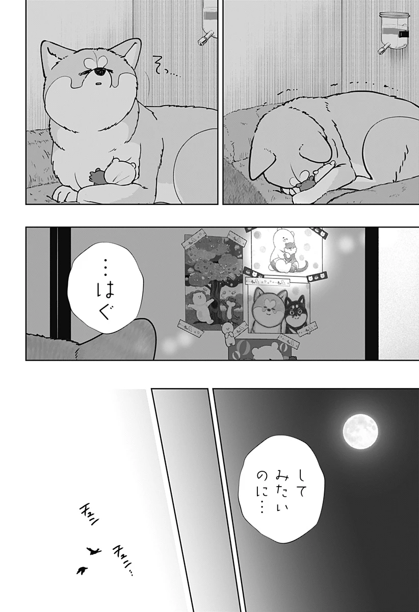 シバつき物件 第59話 - 12