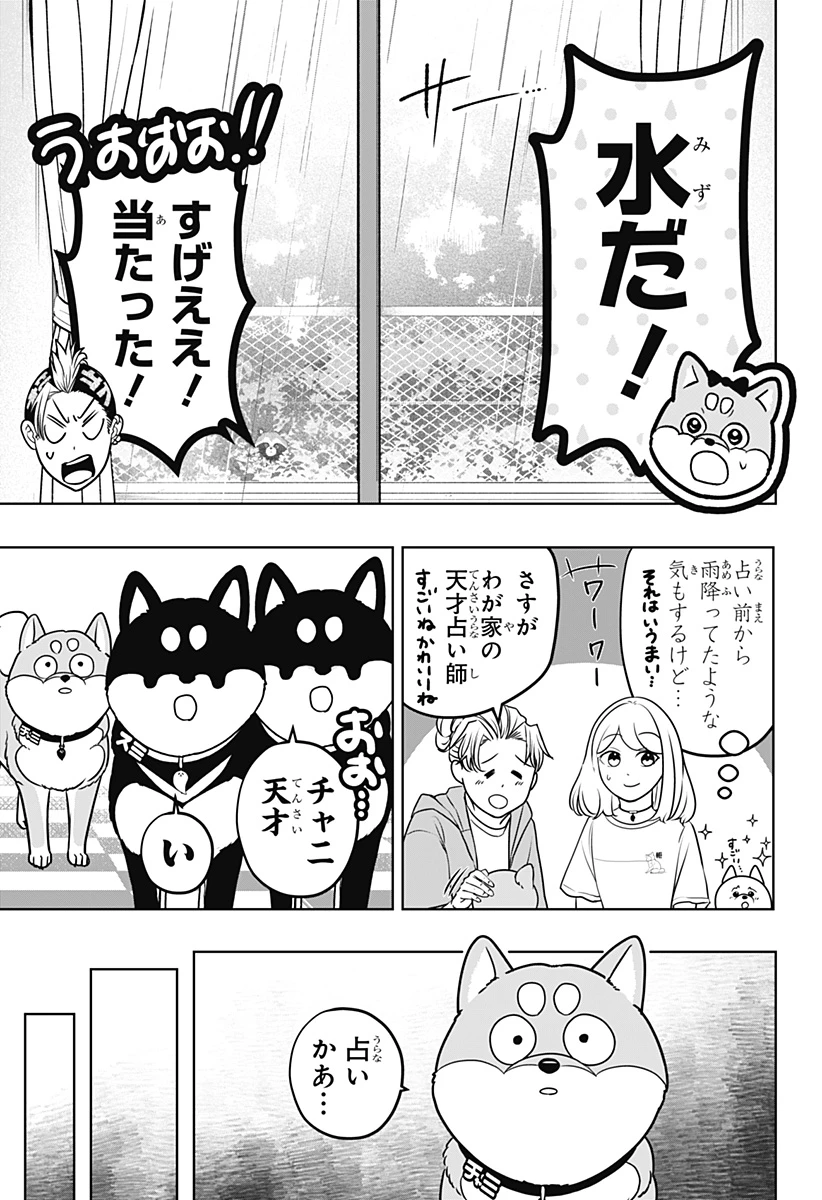 シバつき物件 第58話 - 7