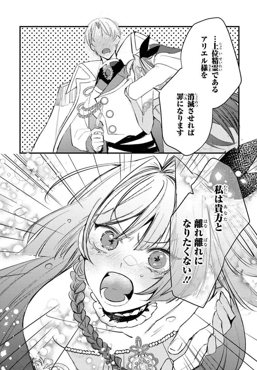 精霊に「お前は主人にふさわしくない、契約破棄してくれ!」と言われたので、欲しがっている妹に譲ります 第12話 - 15