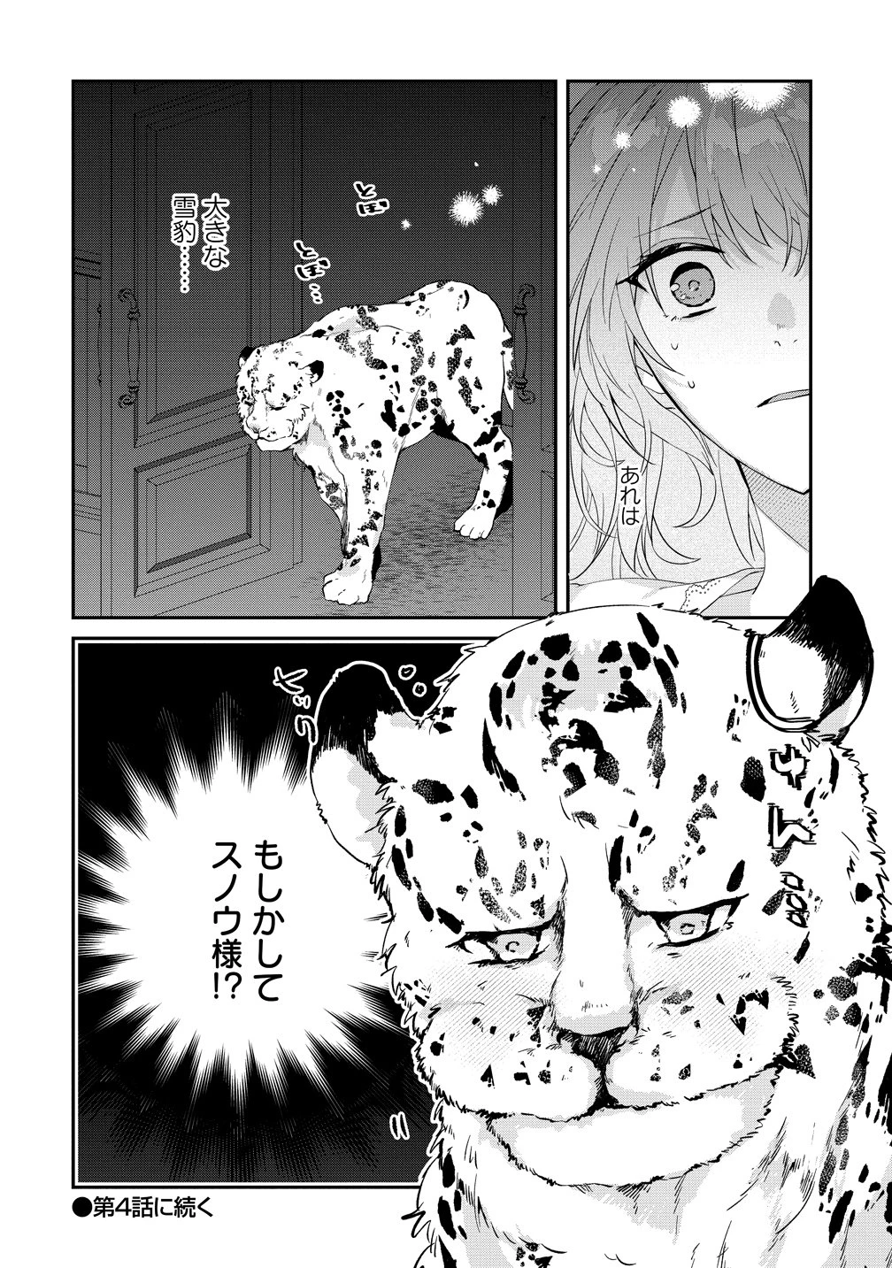 私の運命は、黙って愛を語る困った人で目を離せない。～もふもふな雪豹騎士にまっしぐらに溺愛されました～ 第3話 - 26