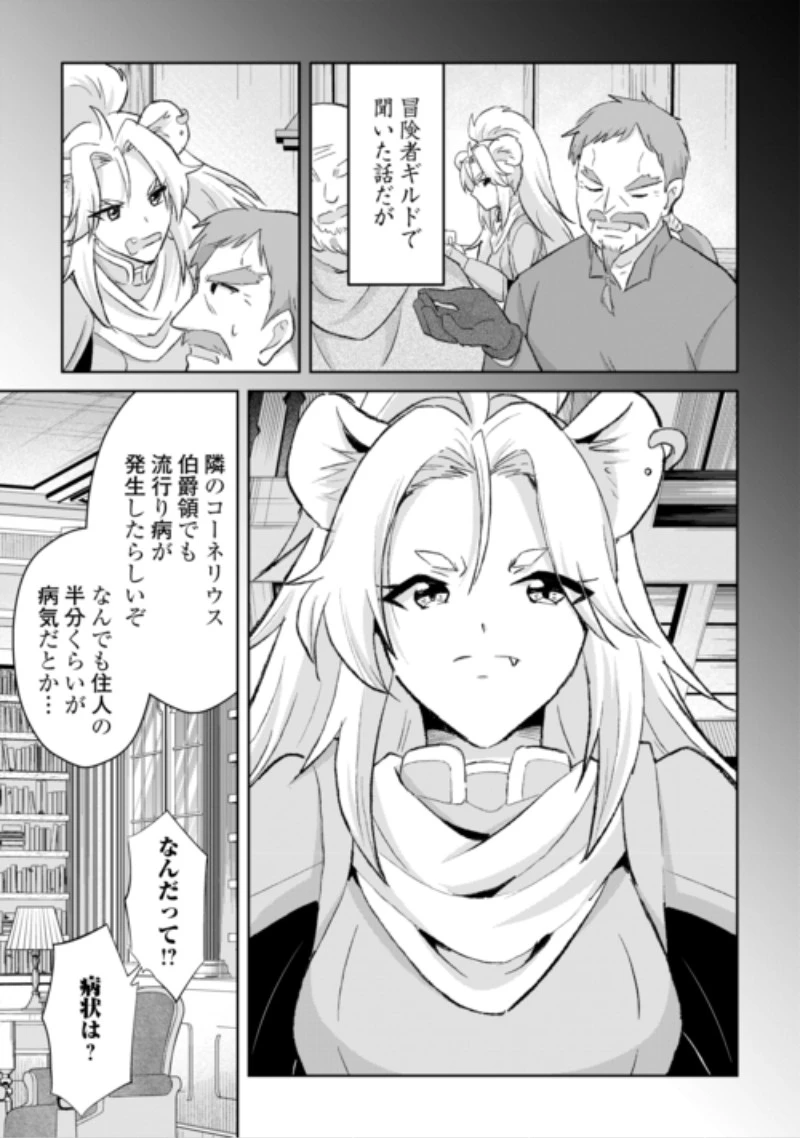 辺境領主は大貴族に成り上がる!チート知識でのびのび領地経営します 第17話 - 11