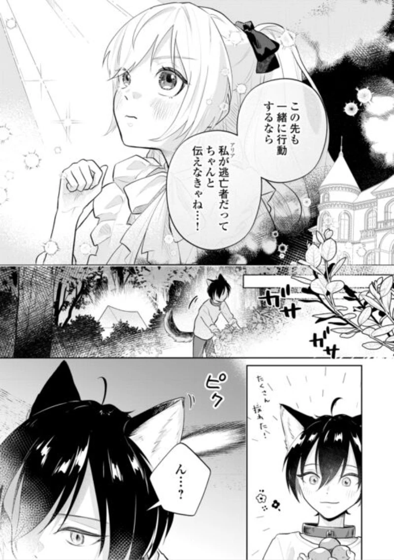 異世界転生令嬢、出奔する 第11話 - 10