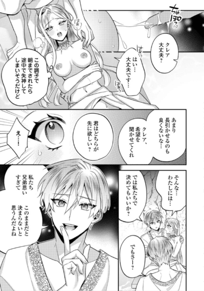 重婚なんてお断り! 絶対に双子の王子を見分けてみせます! 第17話 - 5