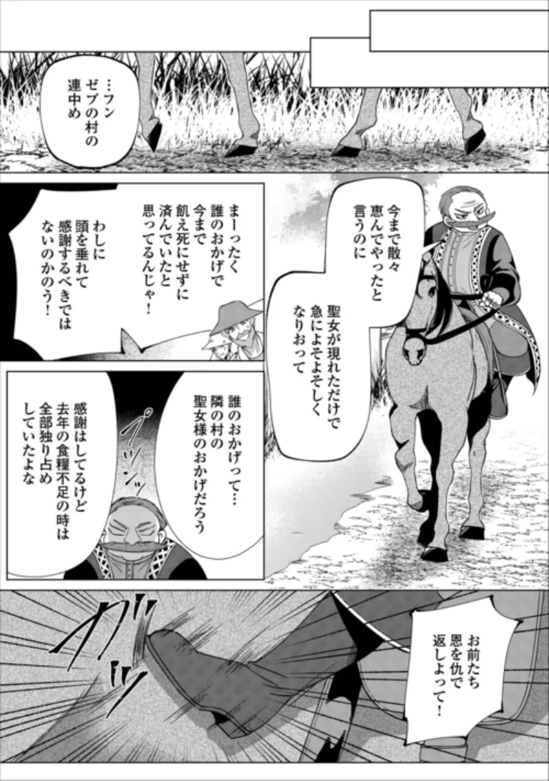 聖女ですが悪魔を召喚したので誤魔化します! 第3話 - 14