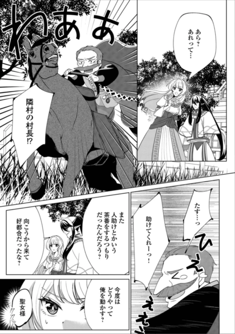 聖女ですが悪魔を召喚したので誤魔化します! 第3話 - 15