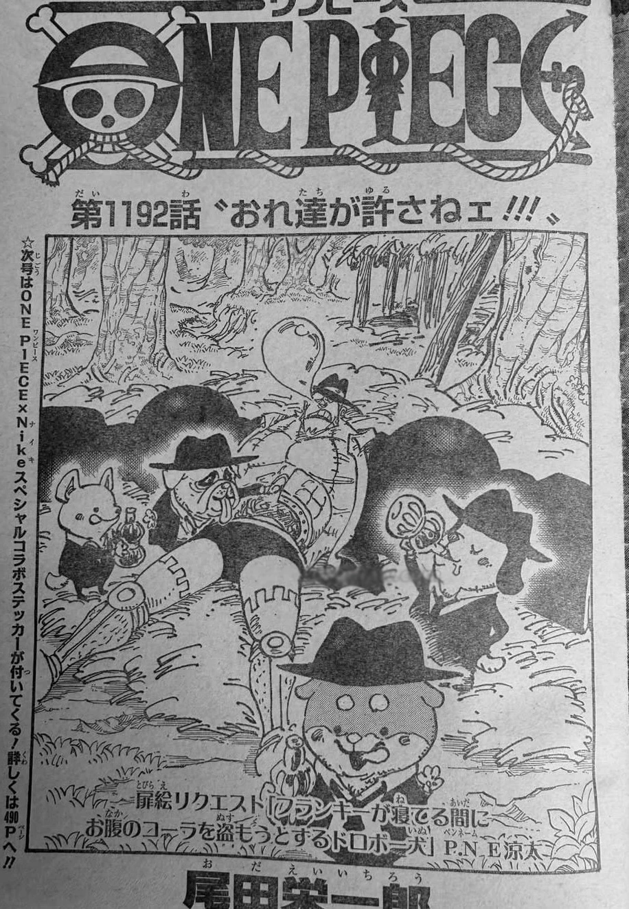 ワンピース 第1192話 - 1