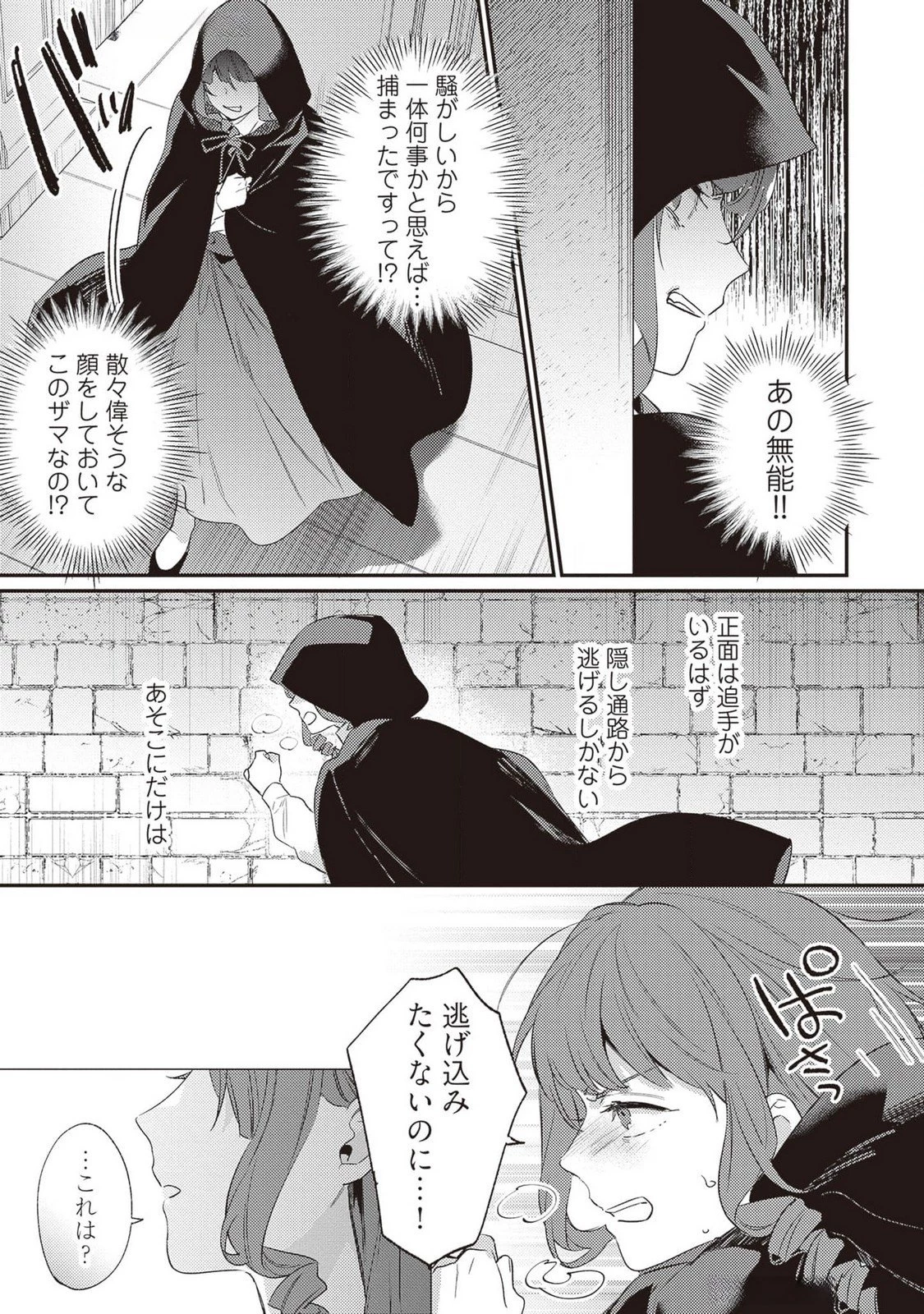 婚約破棄の悪意は娼館からお返しします 第21話 - 17