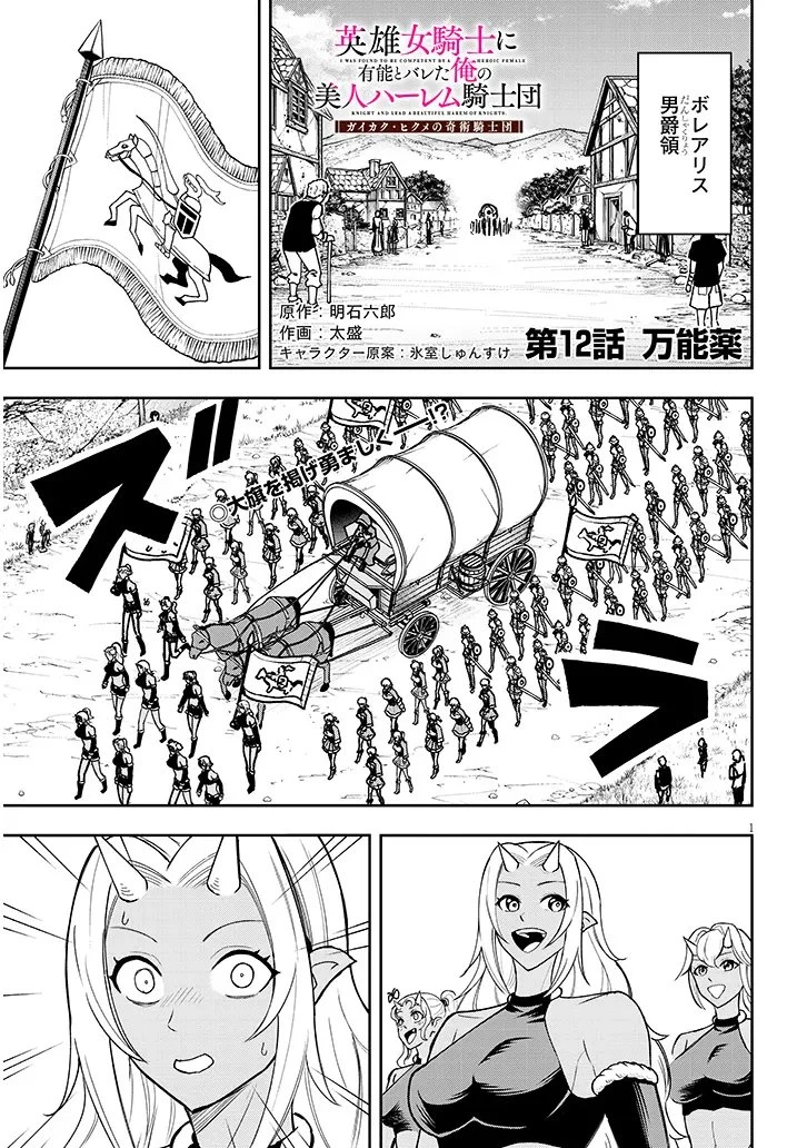 英雄女騎士に有能とバレた俺の美人ハーレム騎士団 ガイカク・ヒクメの奇術騎士団 第12話 - 1