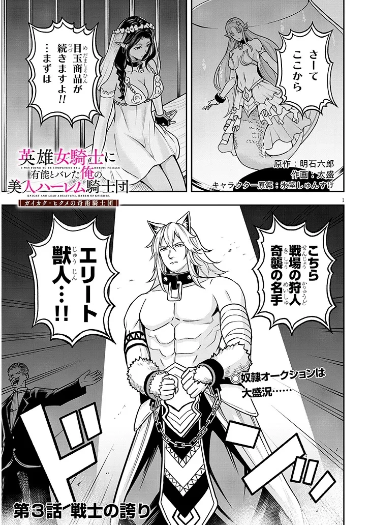 英雄女騎士に有能とバレた俺の美人ハーレム騎士団 ガイカク・ヒクメの奇術騎士団 第3話 - 1