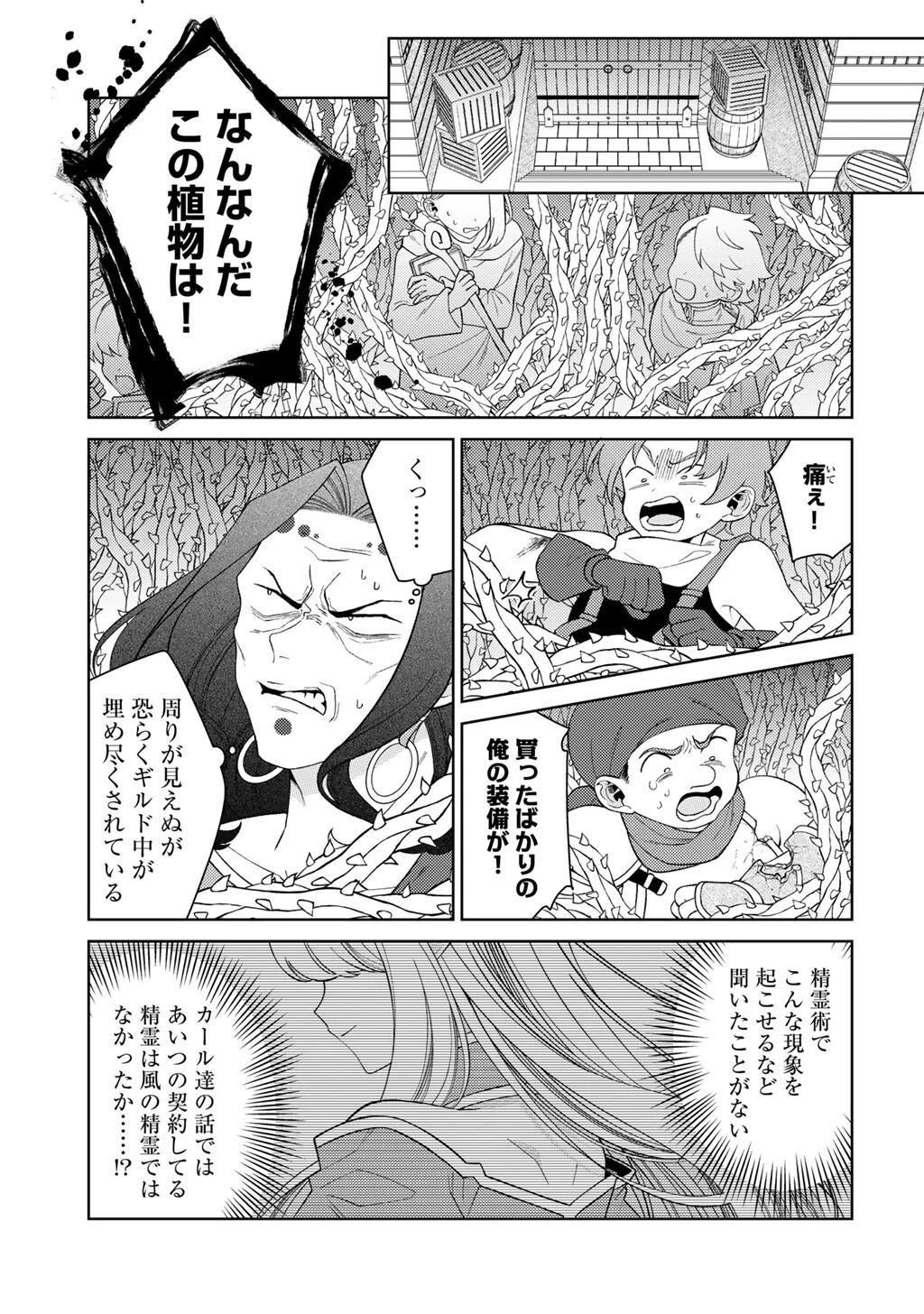 精霊達の楽園と理想の異世界生活 第87話 - 13