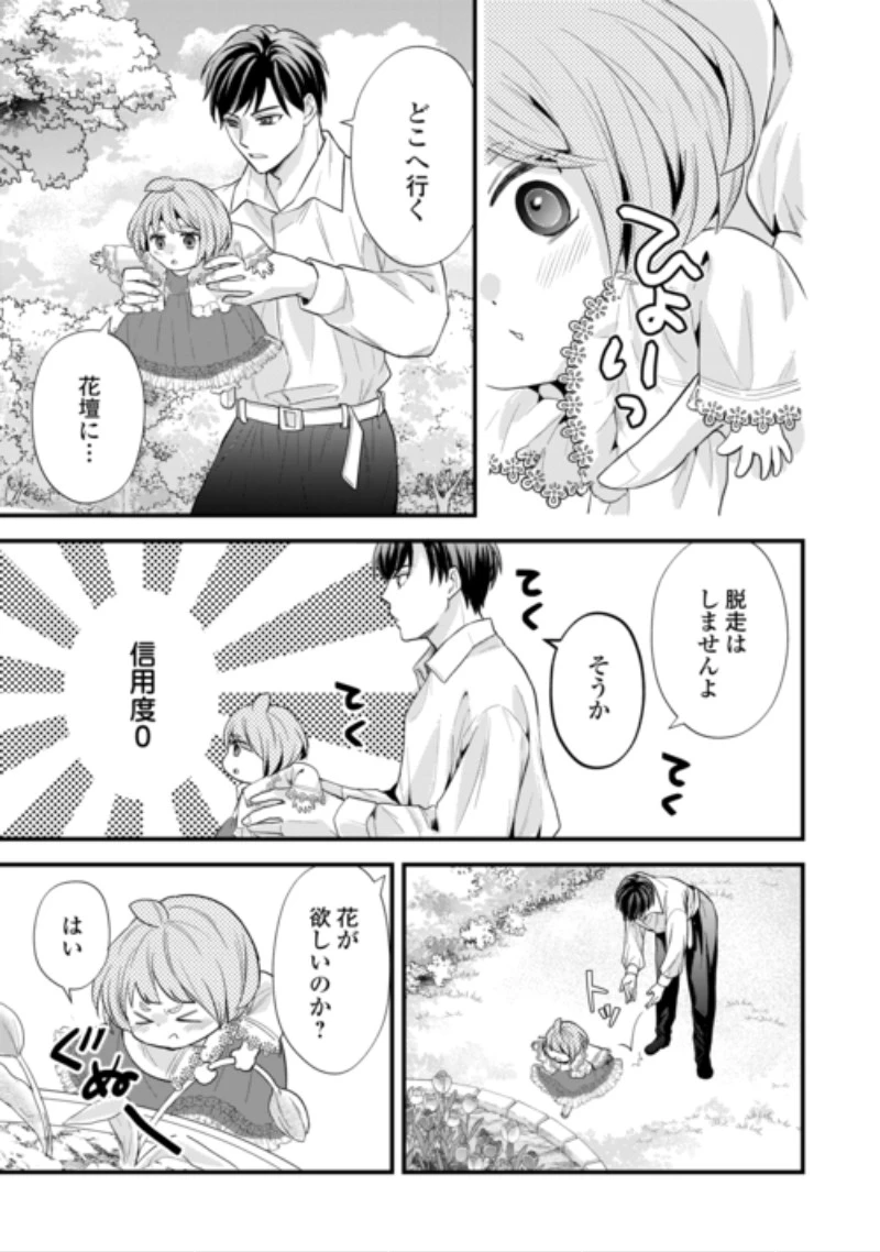 転生赤ちゃんカティは諜報活動しています―そして鬼畜な父に溺愛されているようです― 第27話 - 19