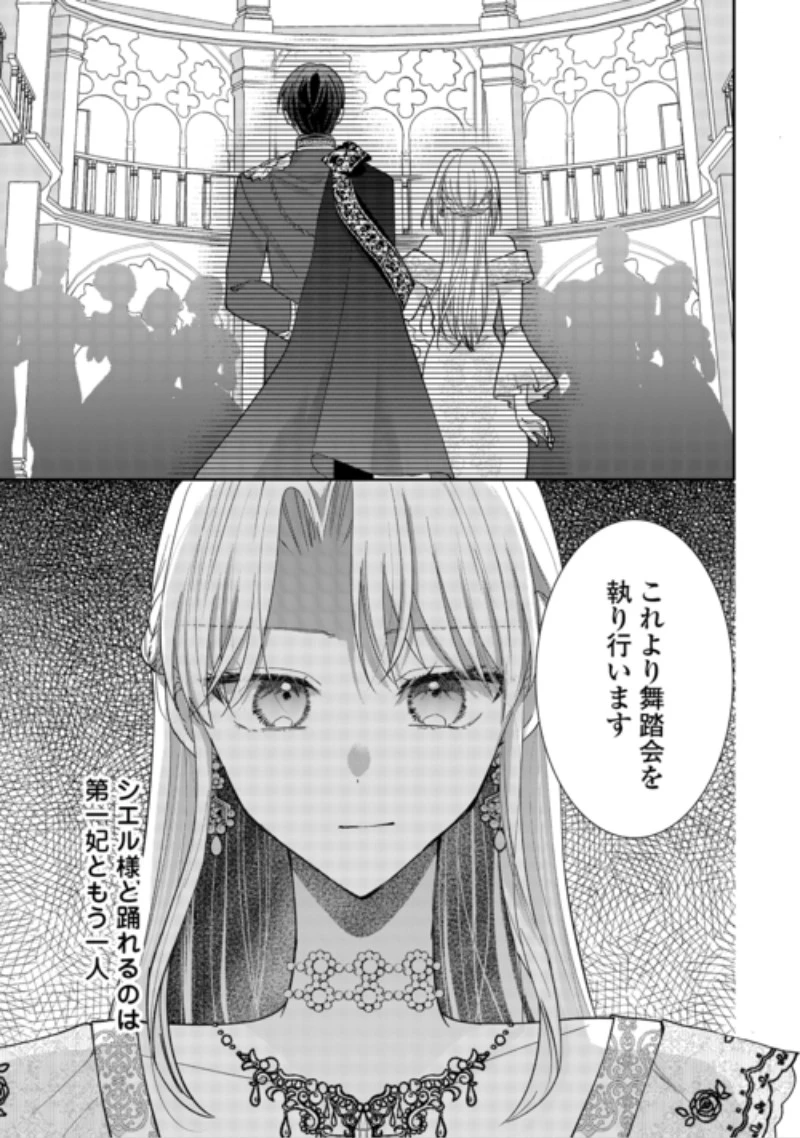 お飾りの側妃ですね?わかりました。どうぞ私のことは放っといてください! 第10話 - 13