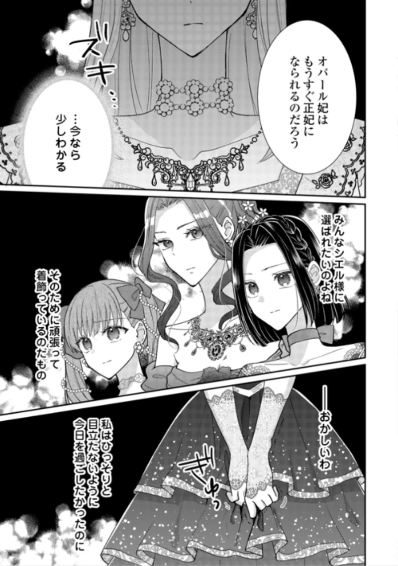 お飾りの側妃ですね?わかりました。どうぞ私のことは放っといてください! 第10話 - 15