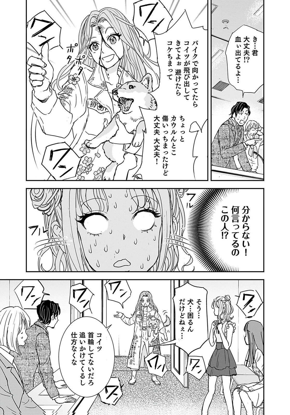 ひよこ ～レディース総長のアイドル奮闘記～ 第3話 - 17
