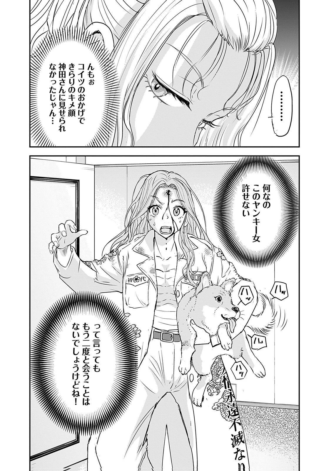 ひよこ ～レディース総長のアイドル奮闘記～ 第3話 - 19