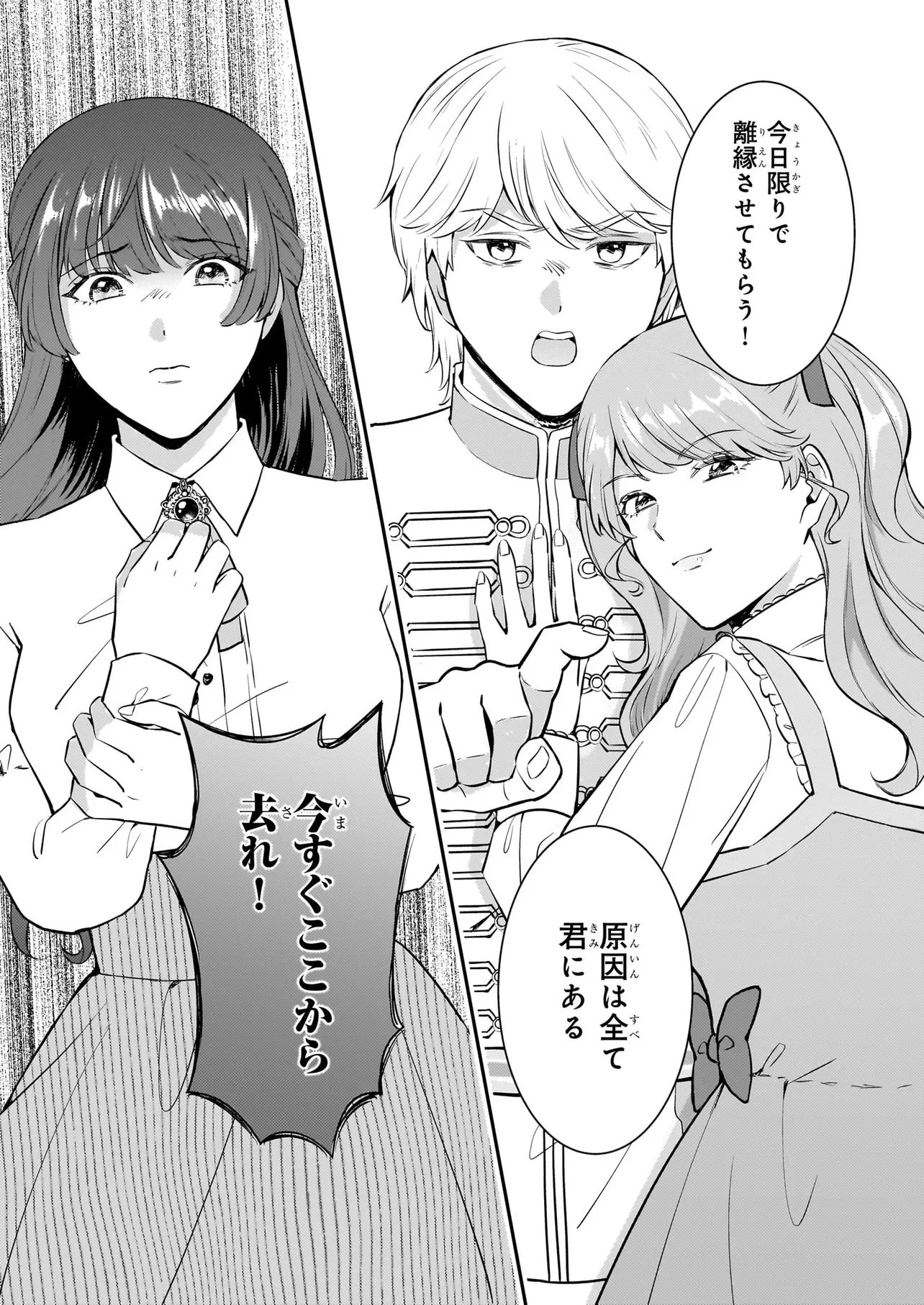 母国を捨てた冷遇お飾り王子妃は、隣国の外交官となり本領発揮します 第1話 - 20