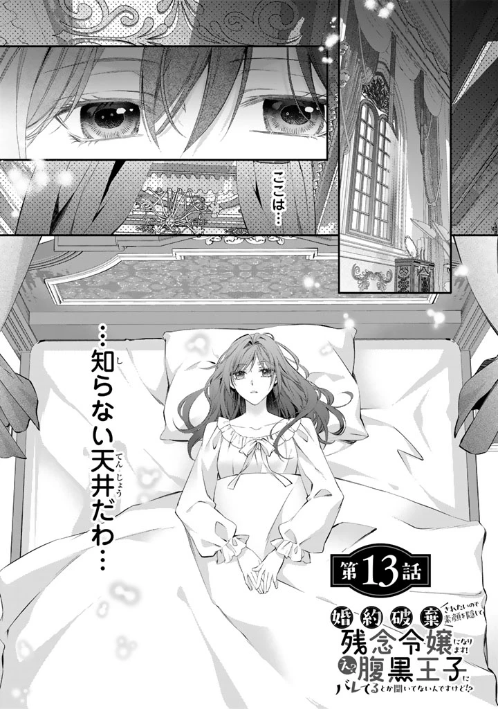 婚約破棄されたいので素顔を隠して残念令嬢になります!え?腹黒王子にバレてるとか聞いてないんですけど!? 第13話 - 1