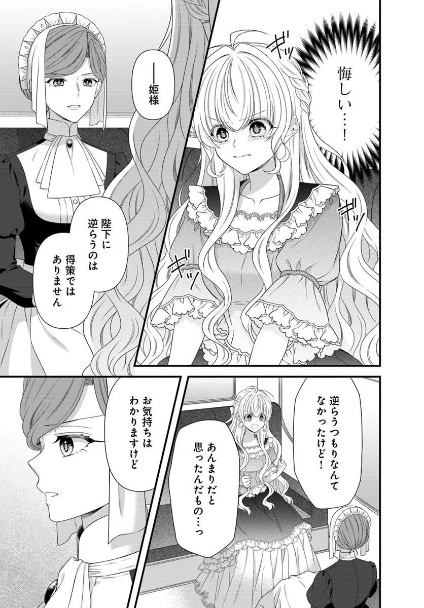 王女でしたがこっそり竜騎士団の専属薬師になりました! 第12話 - 7