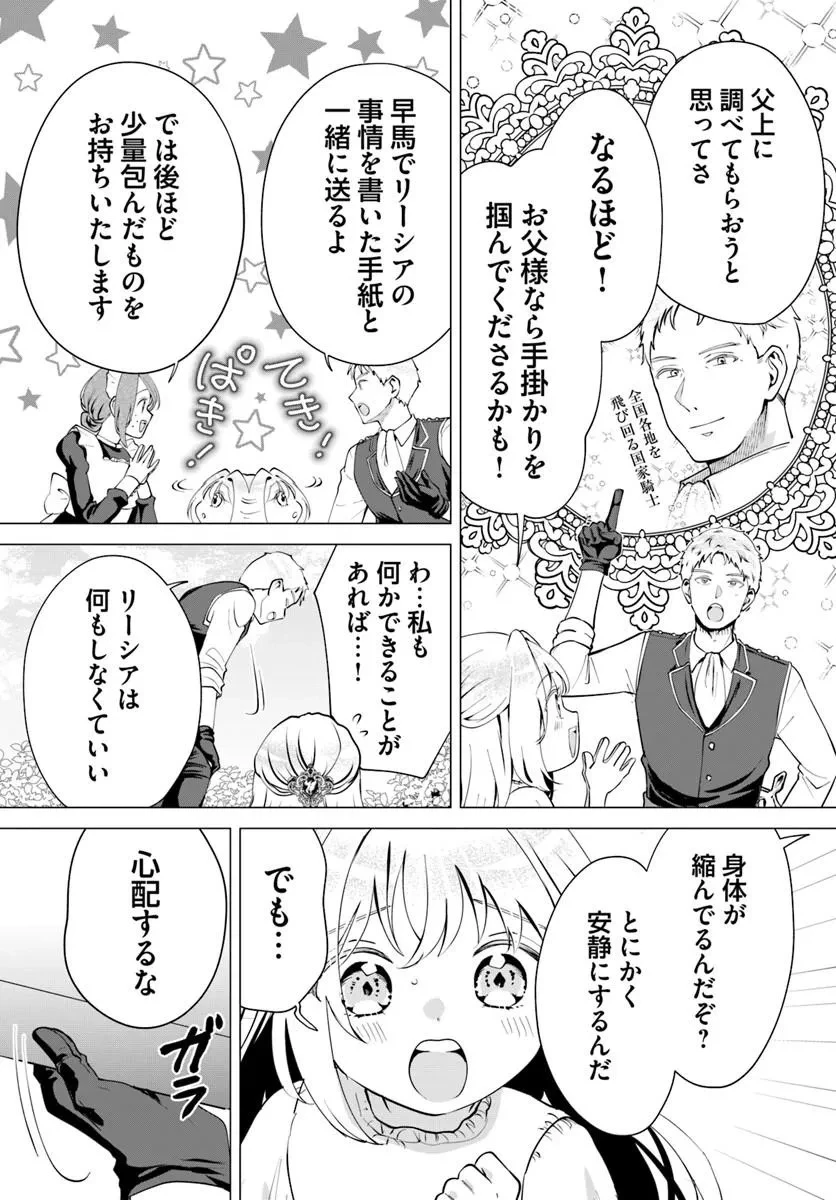 隠し子?いいえ、妻です!～旦那様、その過保護な執愛はちょっと誤解を招くと思うの～ 第3話 - 11