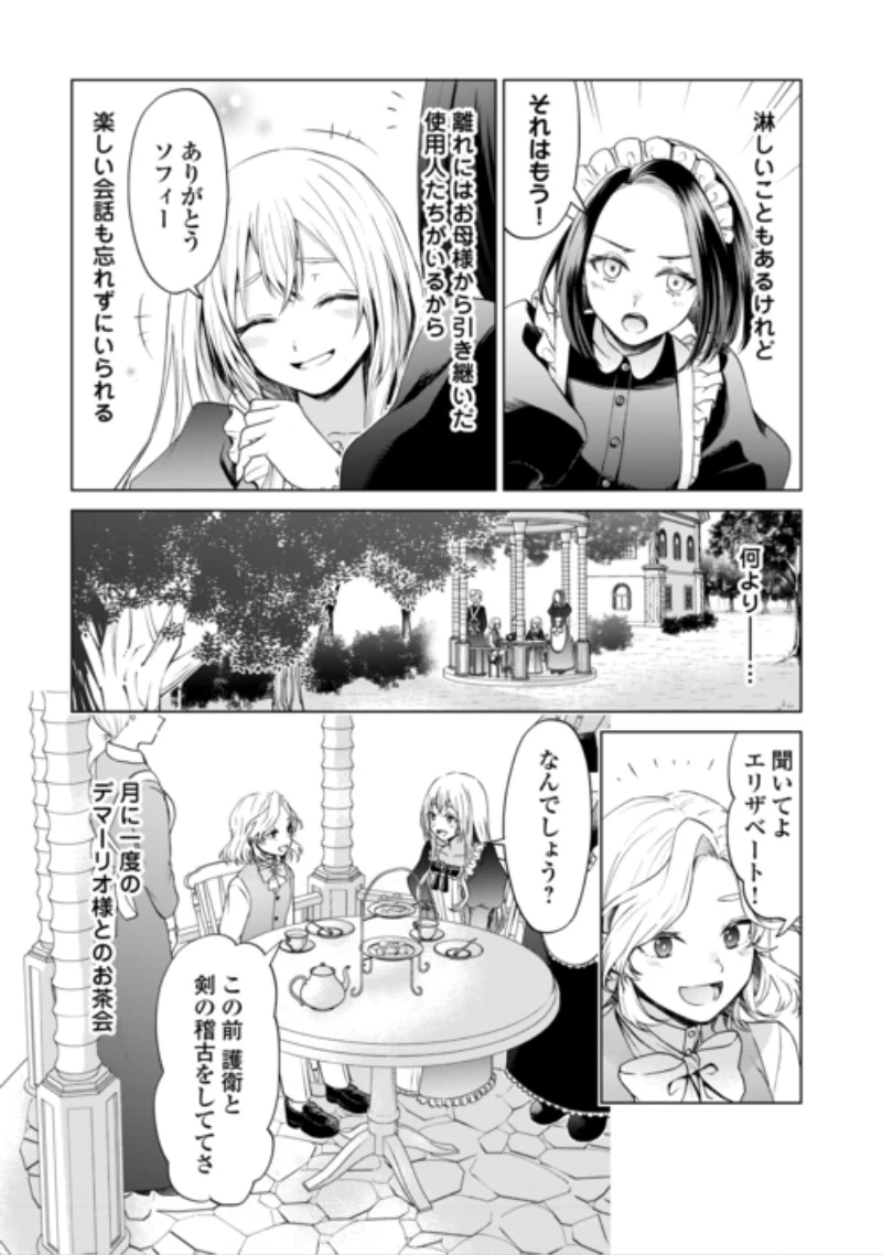 皆様どうぞ私をお忘れください。-エリザベートが消した愛- 第2話 - 4