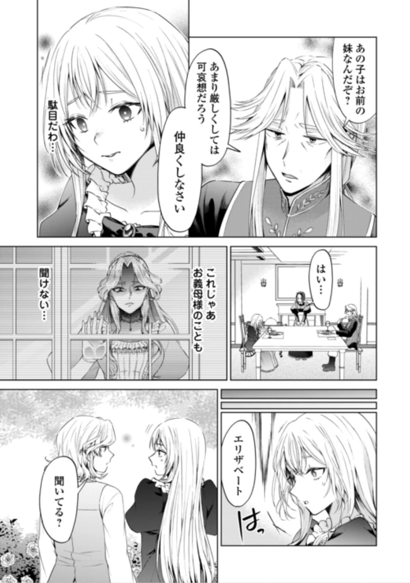 皆様どうぞ私をお忘れください。-エリザベートが消した愛- 第2話 - 13