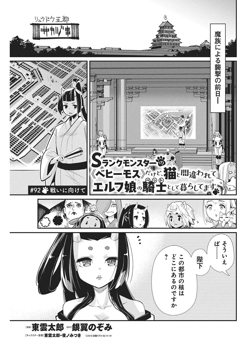 Sランクモンスターの《ベヒーモス》だけどネコと間違われてエルフ娘の騎士として暮らしています 第92話 - 1