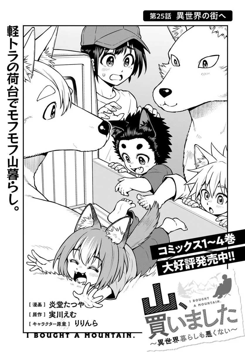 山、買いました 〜異世界暮らしも悪くない〜 第25話 - 3