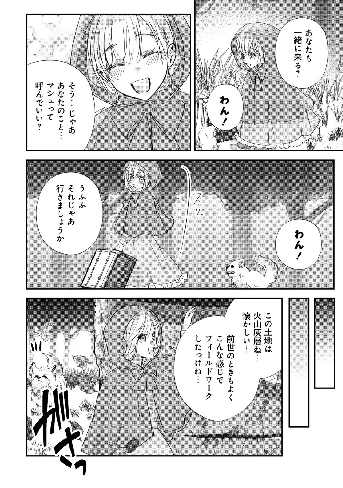 伝説の悪役令嬢らしいので本編には出ないことにしました～執着も溺愛も婚約破棄も全部お断りします!～ 第2話 - 3