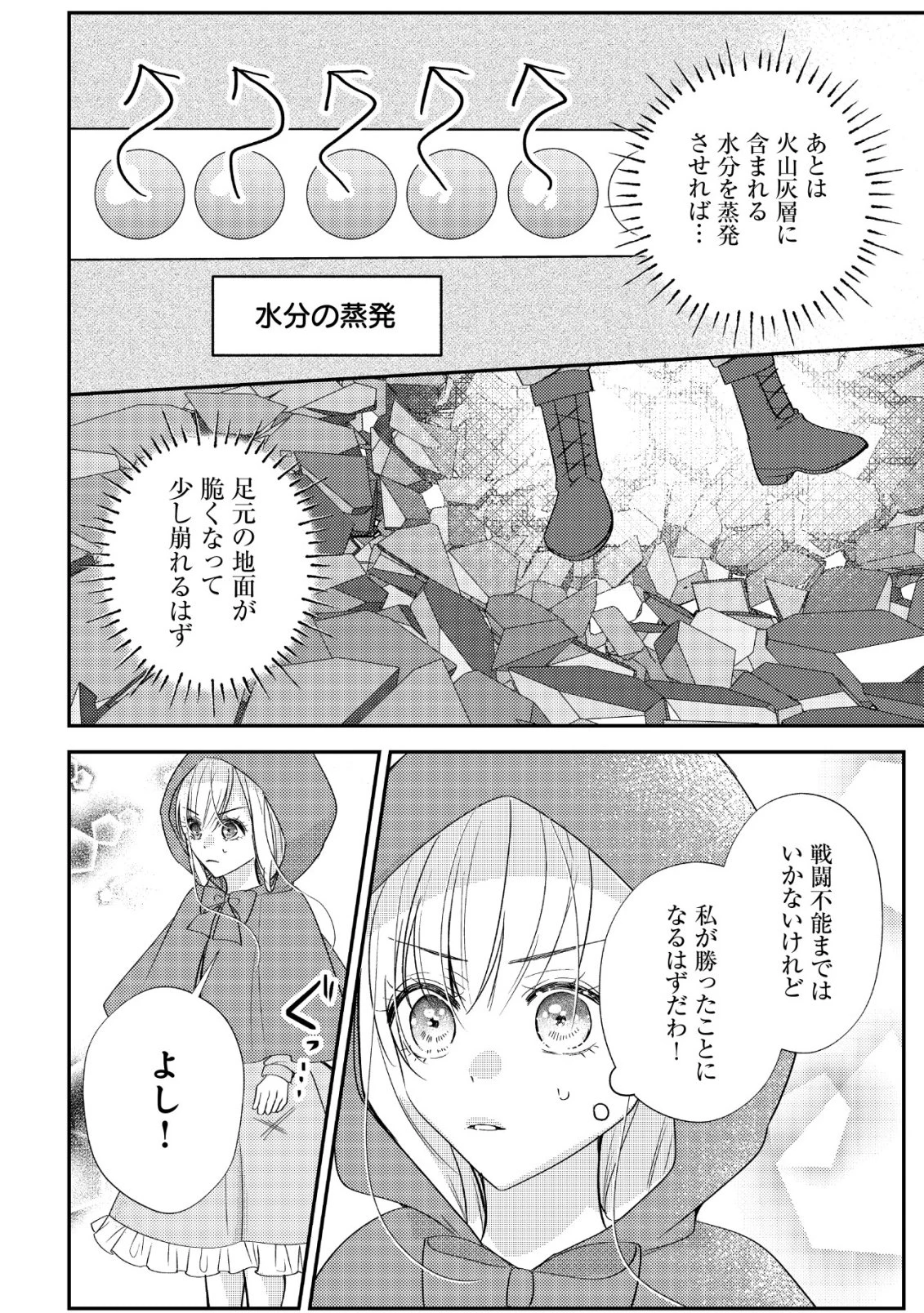 伝説の悪役令嬢らしいので本編には出ないことにしました～執着も溺愛も婚約破棄も全部お断りします!～ 第2話 - 11