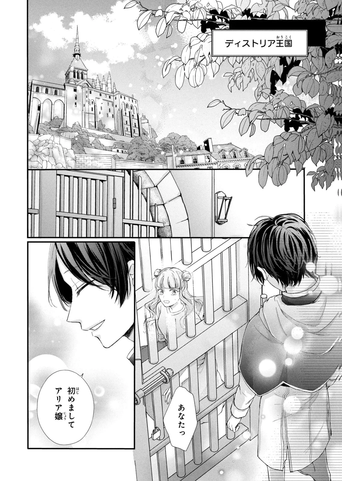 婚約者に忘れられた私、隣国の皇太子殿下と偽装婚約することになりました(※ただし、殿下の本命は私みたいです！？） 第13話 - 8