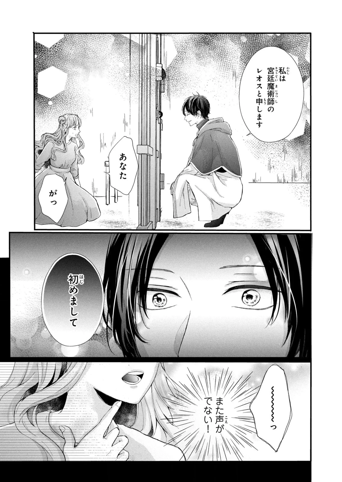 婚約者に忘れられた私、隣国の皇太子殿下と偽装婚約することになりました(※ただし、殿下の本命は私みたいです！？） 第13話 - 9