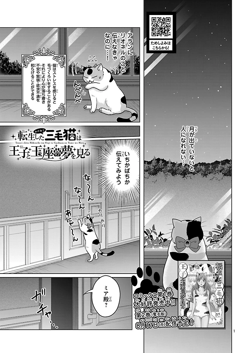 転生した三毛猫は王子と玉座の夢を見る 第10話 - 1
