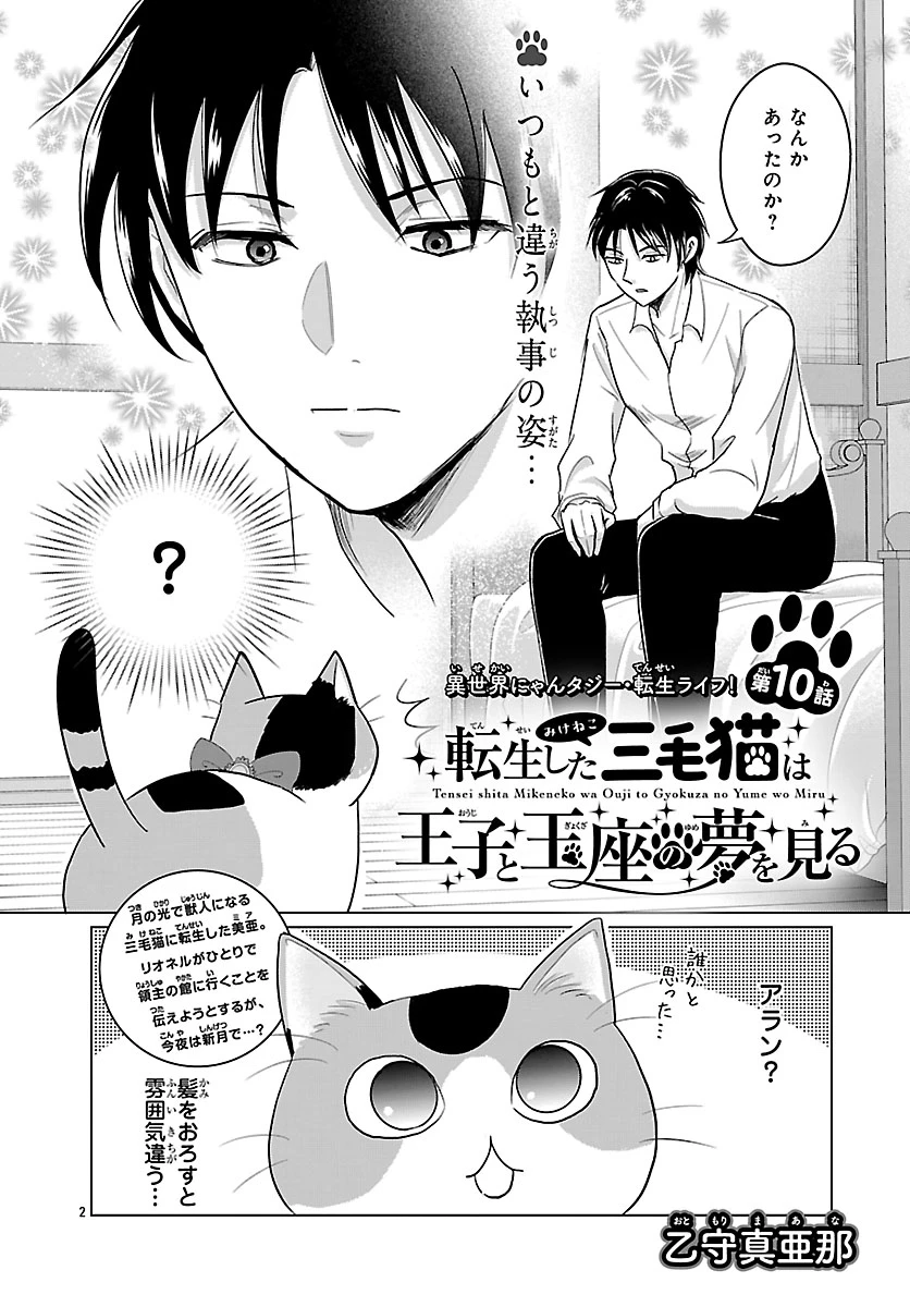 転生した三毛猫は王子と玉座の夢を見る 第10話 - 2