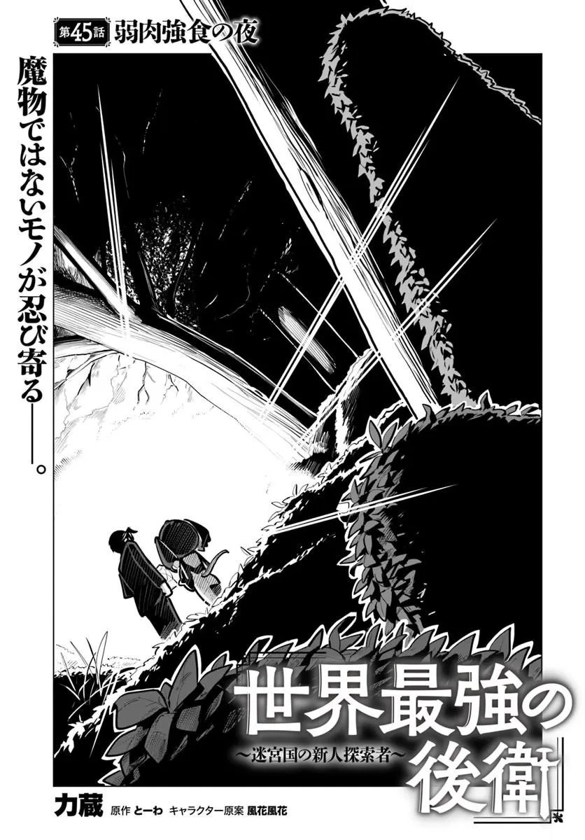 世界最強の後衛 ～迷宮国の新人探索者～ 第45話 - 1