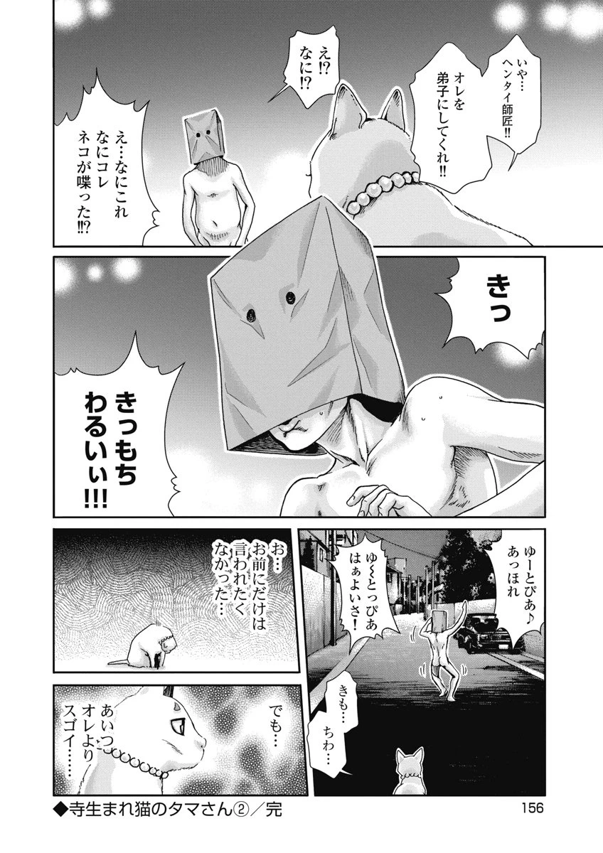 寺生まれ猫のタマさん 第36話 - 8