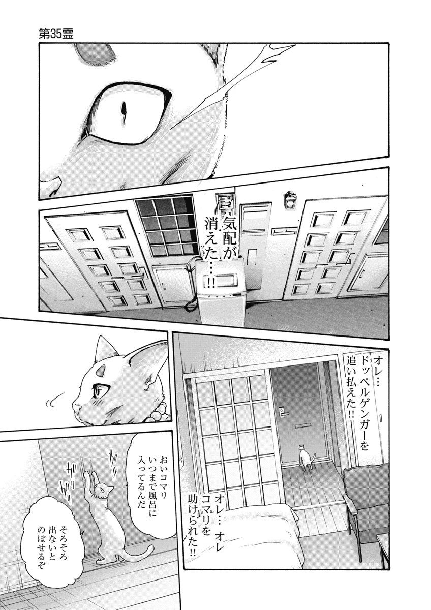 寺生まれ猫のタマさん 第35話 - 9