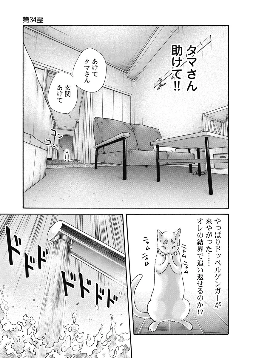 寺生まれ猫のタマさん 第34話 - 7
