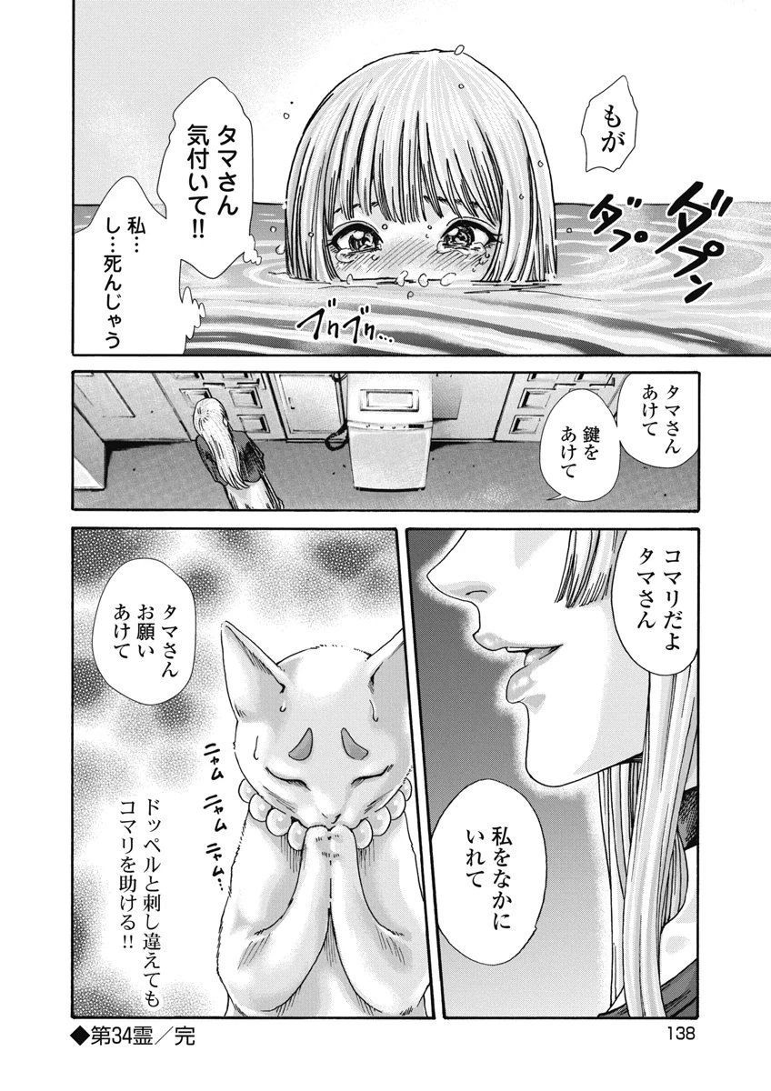 寺生まれ猫のタマさん 第34話 - 8