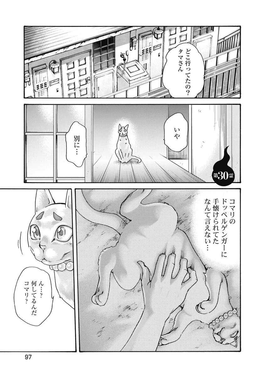 寺生まれ猫のタマさん 第30話 - 1