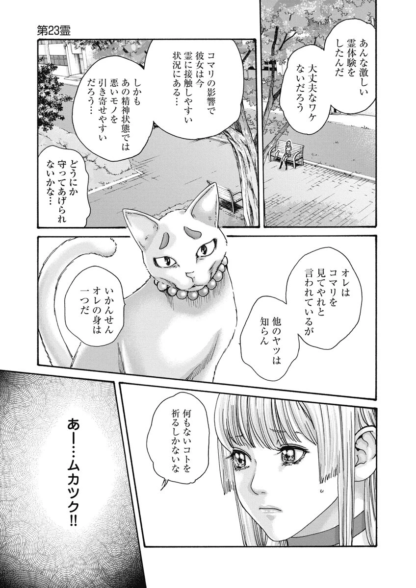 寺生まれ猫のタマさん 第23話 - 3