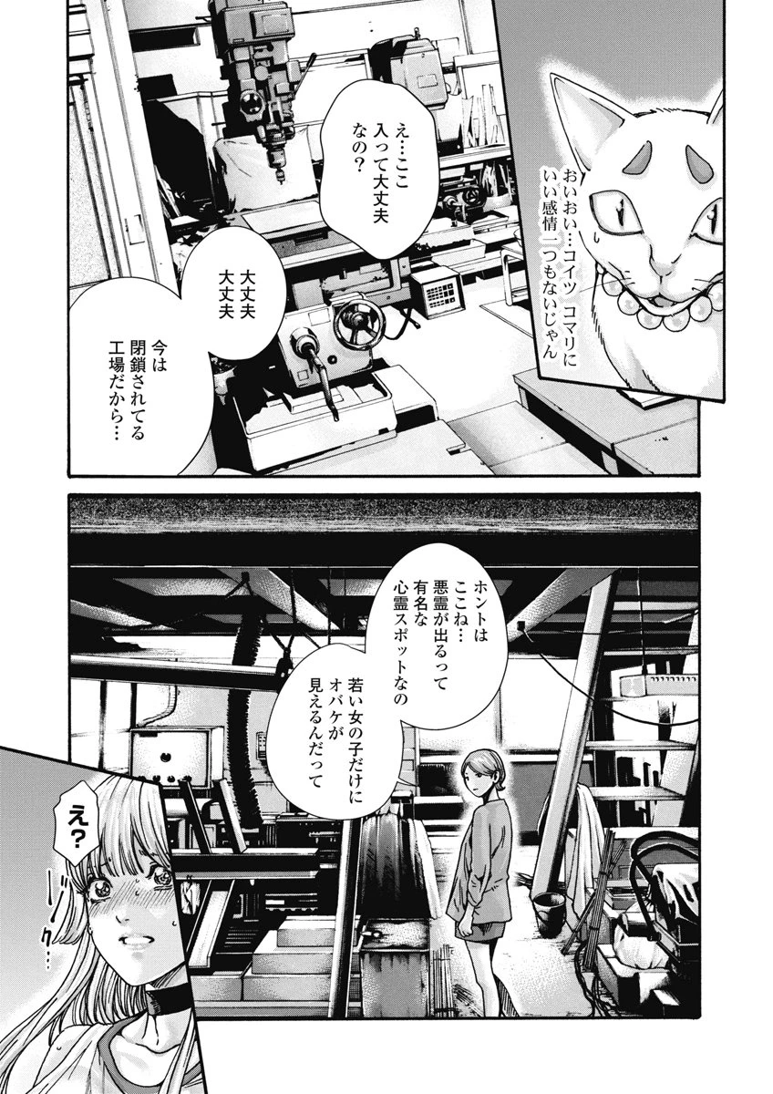 寺生まれ猫のタマさん 第21話 - 3