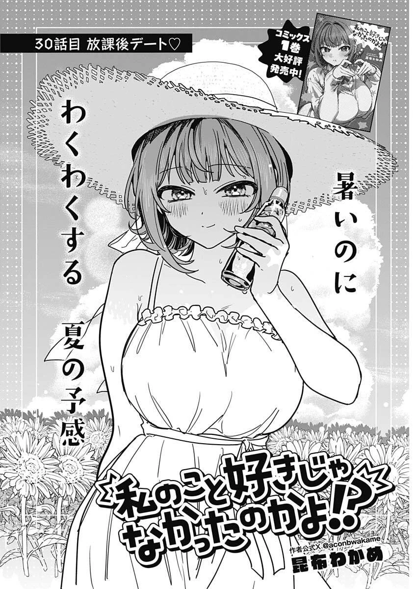 私のこと好きじゃなかったのかよ!? 第30話 - 2