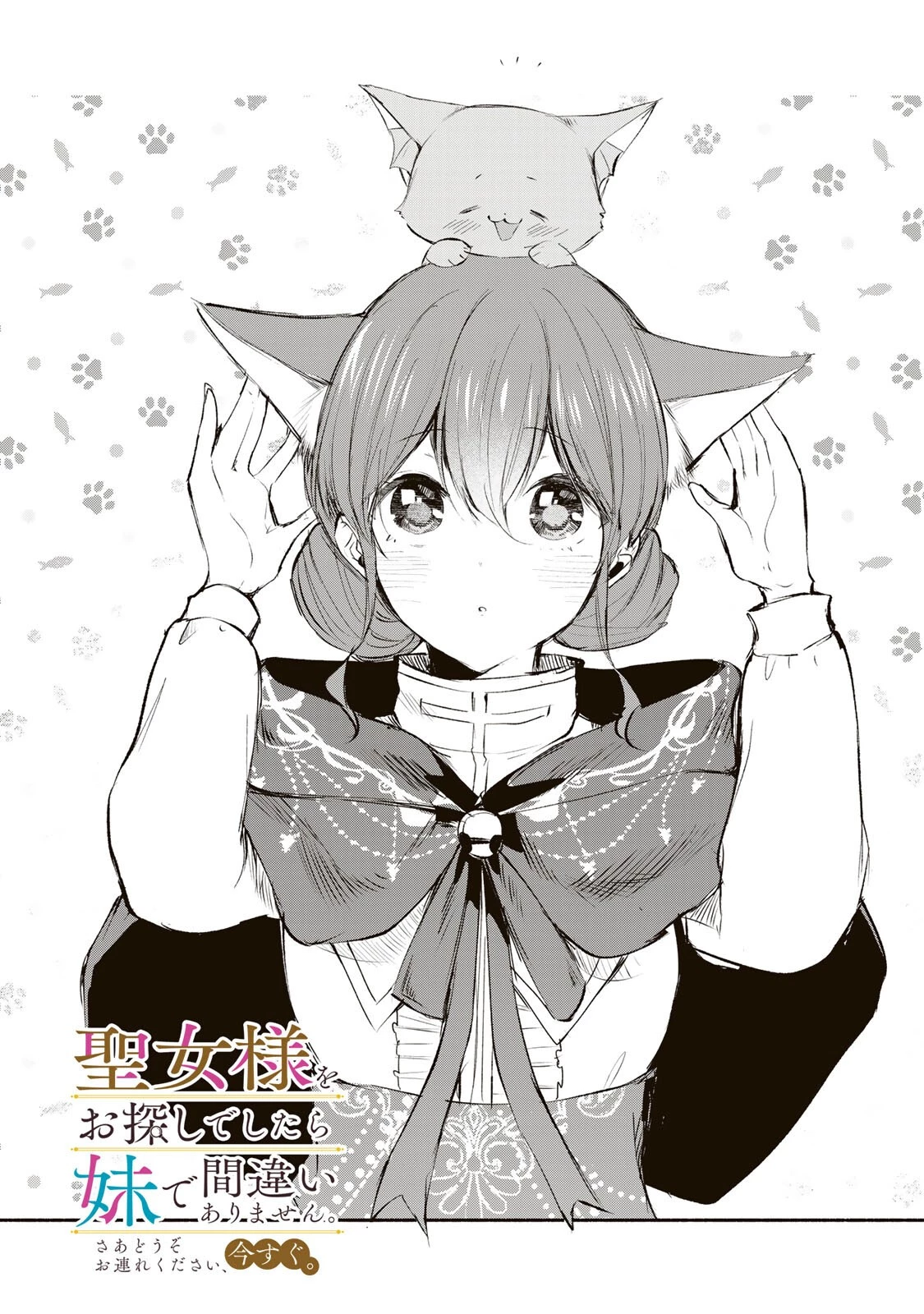 聖女様をお探しでしたら妹で間違いありません。さあどうぞお連れください、今すぐ。 第49話 - 1