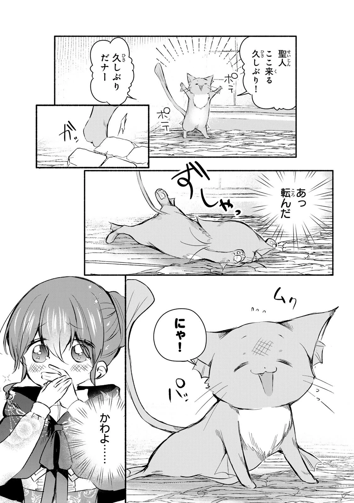 聖女様をお探しでしたら妹で間違いありません。さあどうぞお連れください、今すぐ。 第49話 - 5