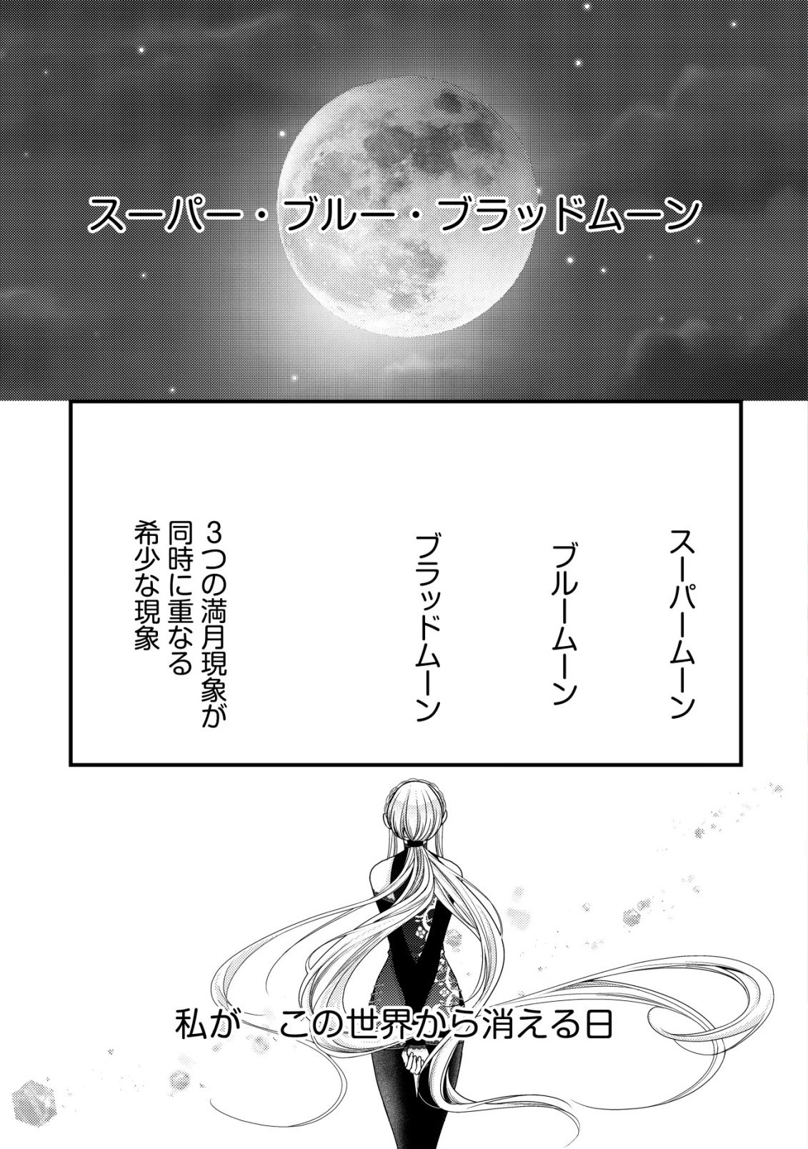 転生した女マフィアは異世界で平凡に暮らしたい～暗殺者一家の伯爵令嬢ですが、天使と悪魔な団長がつきまとってきます～ 第33話 - 2