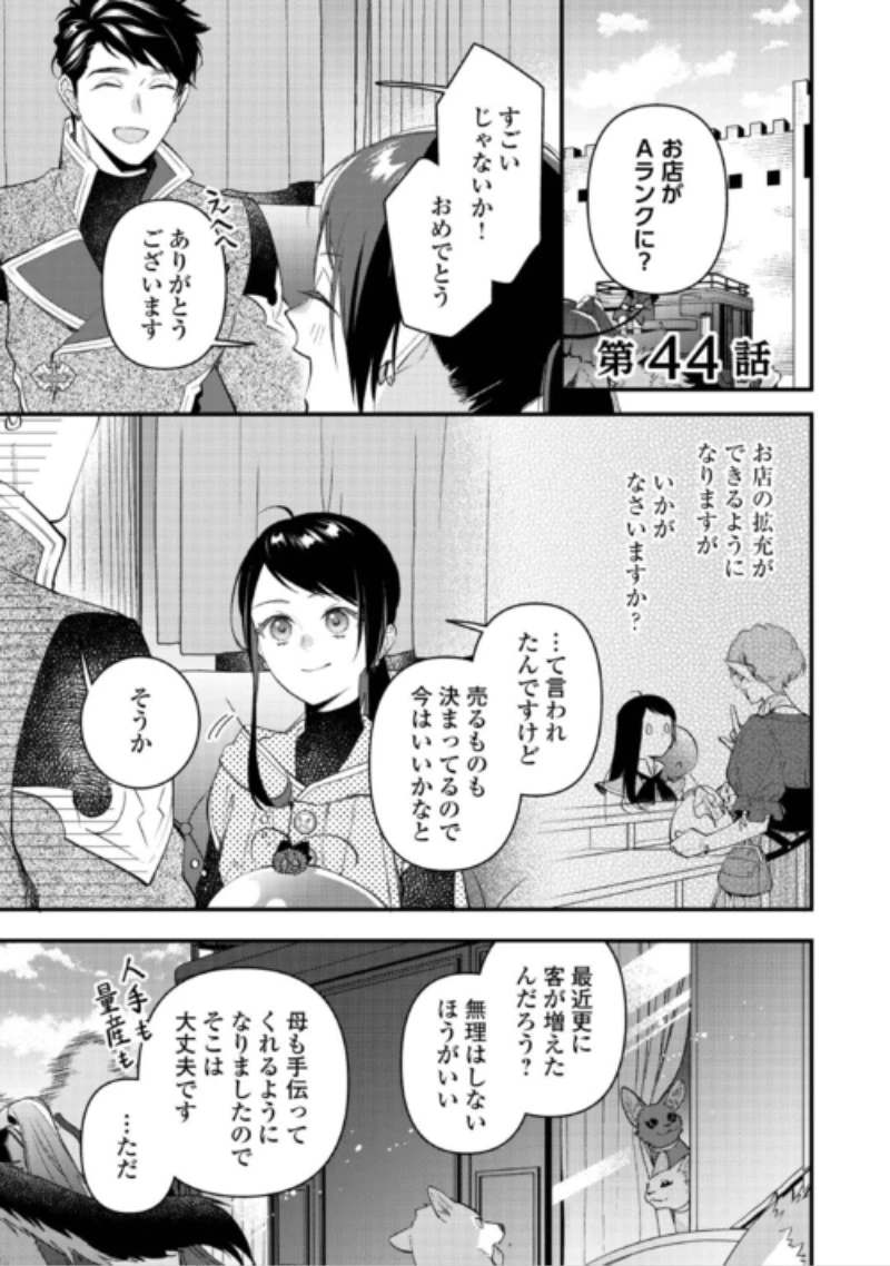 転移先は薬師が少ない世界でした 第44話 - 1