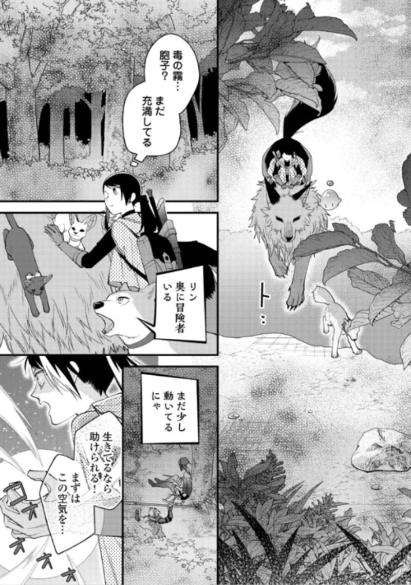 転移先は薬師が少ない世界でした 第44話 - 13
